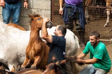 2 guys and 1 horse video|More.